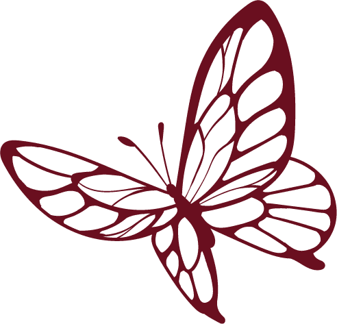 Butterfly image